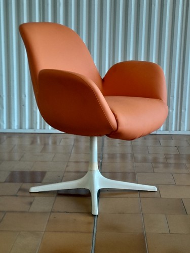 Tulip chair stuhl - stuhl, sessel